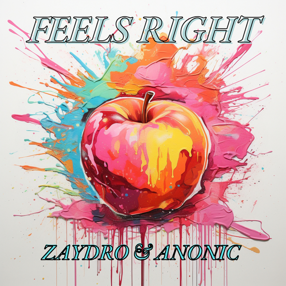 Zaydro, Anonic - Feels Right